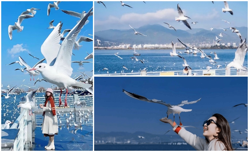 Hồ Điền Trì - Du lịch Hà Khẩu - Côn Minh - Núi Tuyết Kiệu Tử 4 ngày 3 đêm